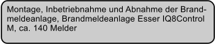Montage, Inbetriebnahme und Abnahme der Brand- meldeanlage, Brandmeldeanlage Esser IQ8Control M, ca. 140 Melder
