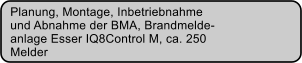 Planung, Montage, Inbetriebnahme  und Abnahme der BMA, Brandmelde- anlage Esser IQ8Control M, ca. 250 Melder