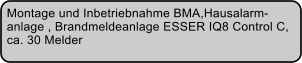 Montage und Inbetriebnahme BMA,Hausalarm- anlage , Brandmeldeanlage ESSER IQ8 Control C,  ca. 30 Melder