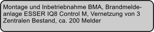 Montage und Inbetriebnahme BMA, Brandmelde- anlage ESSER IQ8 Control M, Vernetzung von 3  Zentralen Bestand, ca. 200 Melder