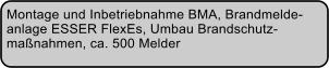 Montage und Inbetriebnahme BMA, Brandmelde- anlage ESSER FlexEs, Umbau Brandschutz- manahmen, ca. 500 Melder