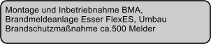Montage und Inbetriebnahme BMA,  Brandmeldeanlage Esser FlexES, Umbau  Brandschutzmanahme ca.500 Melder