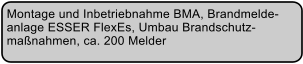 Montage und Inbetriebnahme BMA, Brandmelde- anlage ESSER FlexEs, Umbau Brandschutz- manahmen, ca. 200 Melder