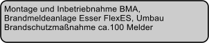 Montage und Inbetriebnahme BMA,  Brandmeldeanlage Esser FlexES, Umbau  Brandschutzmanahme ca.100 Melder