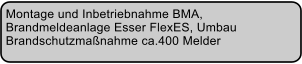 Montage und Inbetriebnahme BMA,  Brandmeldeanlage Esser FlexES, Umbau  Brandschutzmanahme ca.400 Melder