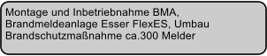 Montage und Inbetriebnahme BMA,  Brandmeldeanlage Esser FlexES, Umbau  Brandschutzmanahme ca.300 Melder